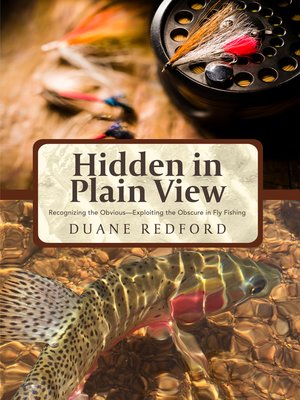 cover image of Hidden in Plain View